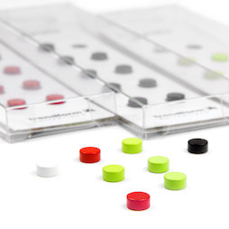 LIV-44, Steely, coloured neodymium magnets, set of 10, 6 x 3 mm small